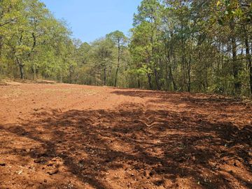 TERRENO UBICADO EN SAN JOSÉ OCOTILLOS, ZONA PLANA Y COLINDA CON EL BOSQUE