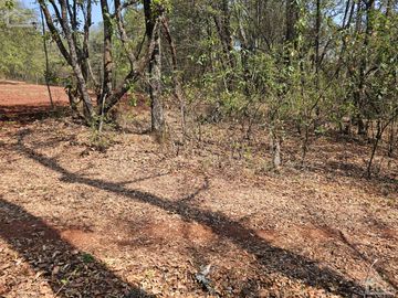 TERRENO UBICADO EN SAN JOSÉ OCOTILLOS, ZONA PLANA Y COLINDA CON EL BOSQUE