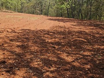 TERRENO UBICADO EN SAN JOSÉ OCOTILLOS, ZONA PLANA Y COLINDA CON EL BOSQUE