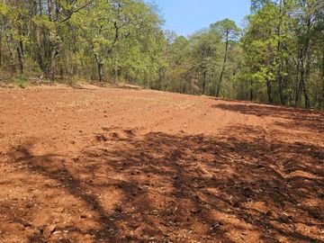 TERRENO UBICADO EN SAN JOSÉ OCOTILLOS, ZONA PLANA Y COLINDA CON EL BOSQUE