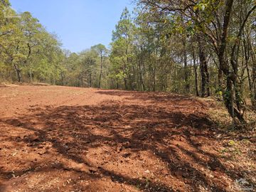 TERRENO UBICADO EN SAN JOSÉ OCOTILLOS, ZONA PLANA Y COLINDA CON EL BOSQUE