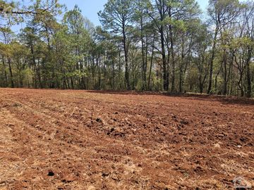TERRENO UBICADO EN SAN JOSÉ OCOTILLOS, ZONA PLANA Y COLINDA CON EL BOSQUE