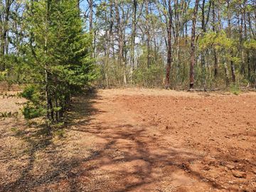 TERRENO UBICADO EN SAN JOSÉ OCOTILLOS, ZONA PLANA Y COLINDA CON EL BOSQUE