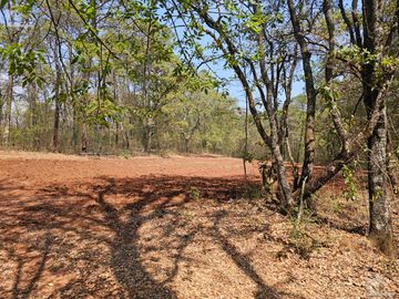 TERRENO UBICADO EN SAN JOSÉ OCOTILLOS, ZONA PLANA Y COLINDA CON EL BOSQUE