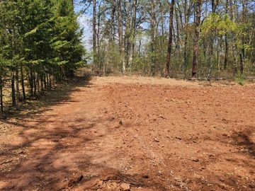 TERRENO UBICADO EN SAN JOSÉ OCOTILLOS, ZONA PLANA Y COLINDA CON EL BOSQUE