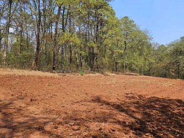 TERRENO UBICADO EN SAN JOSÉ OCOTILLOS, ZONA PLANA Y COLINDA CON EL BOSQUE