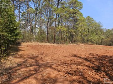 TERRENO UBICADO EN SAN JOSÉ OCOTILLOS, ZONA PLANA Y COLINDA CON EL BOSQUE