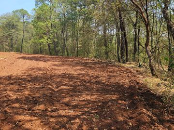 TERRENO UBICADO EN SAN JOSÉ OCOTILLOS, ZONA PLANA Y COLINDA CON EL BOSQUE