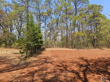TERRENO UBICADO EN SAN JOSÉ OCOTILLOS, ZONA PLANA Y COLINDA CON EL BOSQUE