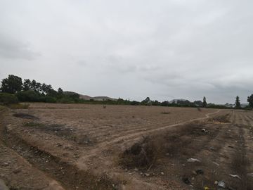 VENDO TERRENO 2 HAS EN MALA PARA PROYECTO INMOBILIARIO