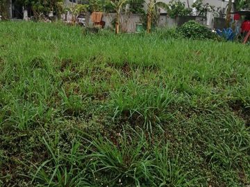 Super clean Title Lot 121sqm Facing east almost across pocket Garden