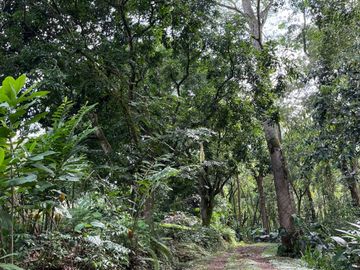 FINCA CAMPESTRE POTRERITO JAMUNDÍ