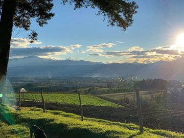 EN VENTA HACIENDA 60 HECTAREAS 20 MIN DEL AEROPUERTO DE QUITO