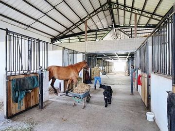 EN VENTA HACIENDA 60 HECTAREAS 20 MIN DEL AEROPUERTO DE QUITO