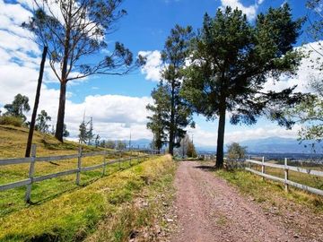 EN VENTA HACIENDA 60 HECTAREAS 20 MIN DEL AEROPUERTO DE QUITO