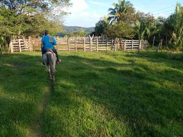 Finca Ganadera( Entre Saldaña y San Luis).