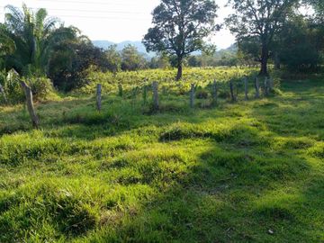 Finca Ganadera( Entre Saldaña y San Luis).