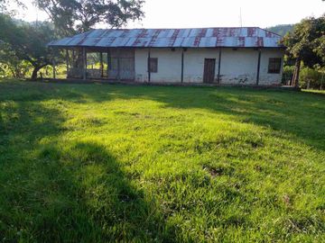Finca Ganadera( Entre Saldaña y San Luis).