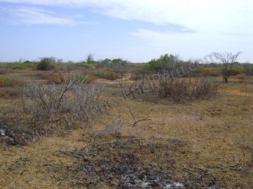 Terreno de Playa en PEÑA REDONDA 52 Has