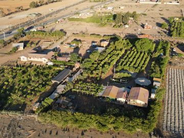 TERRENO PRODUCTIVO EN VENTA, SECTOR TAMBILLOS, COQUIMBO