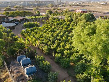 TERRENO PRODUCTIVO EN VENTA, SECTOR TAMBILLOS, COQUIMBO