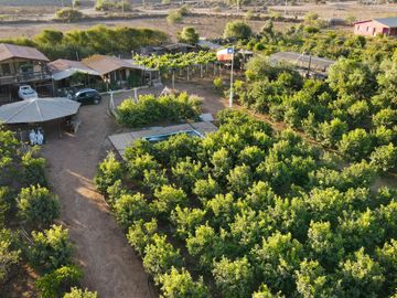 TERRENO PRODUCTIVO EN VENTA, SECTOR TAMBILLOS, COQUIMBO