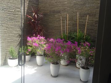 VIVE EN URB. LOS ROSALES DE SURCO - ELEGANTE, CONFORTABLE Y CON GRAN ESTILO