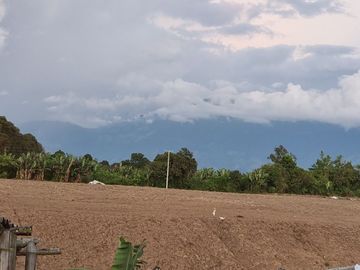 HERMOSA FICA A 3 KMS DE LA pLAZA DE BOLIVAR DE LA tEBAIDA