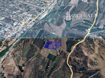 ¡Oportunidad única! Terreno agrícola en venta con producción de pisco en el Valle de Azpitia