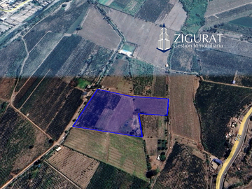 ¡Oportunidad única! Terreno agrícola en venta con producción de pisco en el Valle de Azpitia