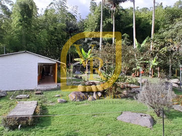 Finca en venta en Boquia Salento Quindio