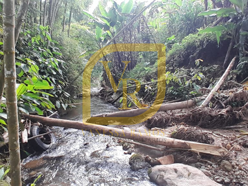 Finca en venta en Boquia Salento Quindio