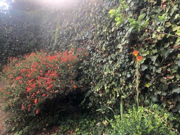 Casa en venta en San Jerónimo
