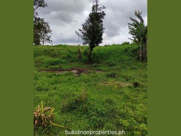 7.3 Hectares Farm Lot for Sale in Lilingayon, Valencia City, Bukidnon