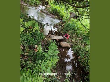 7.3 Hectares Farm Lot for Sale in Lilingayon, Valencia City, Bukidnon