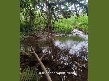 7.3 Hectares Farm Lot for Sale in Lilingayon, Valencia City, Bukidnon