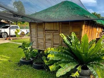 For sale House & Lot Taloc
