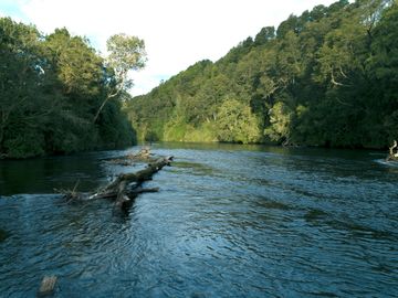 Parcelas en Río Maullín