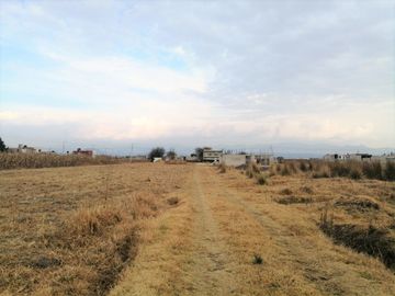 TERRENO EN VENTA EN CALIMAYA LA CONCHITA