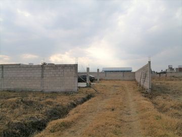 TERRENO EN VENTA EN CALIMAYA LA CONCHITA