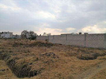 TERRENO EN VENTA EN CALIMAYA LA CONCHITA