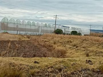 VENTA DE RANCHO GANADERO, TAMBIEN IDEAL PARA LOTIFICAR Y FRACCIONAR