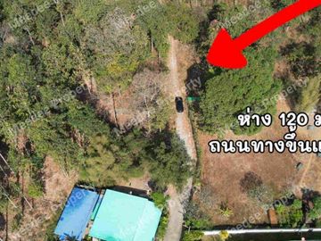 ขายที่ดิน บนเนิน วิวเขา  ทำเลดี่ เชียงใหม่