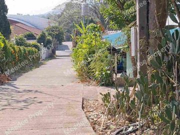 ขายที่ดิน บนเนิน วิวเขา  ทำเลดี่ เชียงใหม่