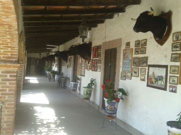hacienda ganadera en venta