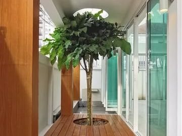 For Sale 5 bedrooms PORTICO Sukhumvit 77