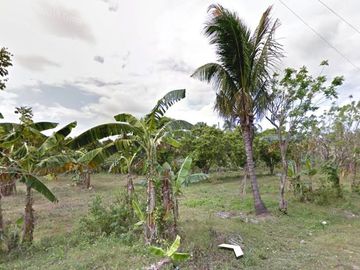 DYU - FOR SALE: 24,487 sqm Lot in Magallanes, Cavite