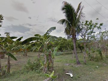 DYU - FOR SALE: 24,487 sqm Lot in Magallanes, Cavite