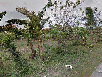 DYU - FOR SALE: 24,487 sqm Lot in Magallanes, Cavite