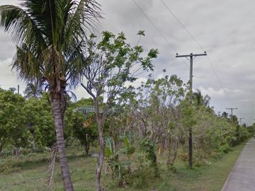 DYU - FOR SALE: 24,487 sqm Lot in Magallanes, Cavite